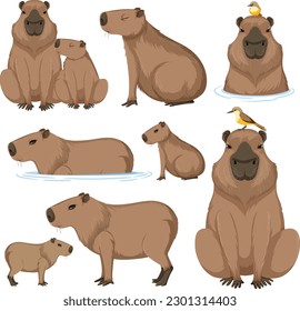 Cute Cartoon Capybara Collection illustration