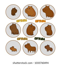 Cute cartoon capybara vector illustration. South America fauna. For children. Notebooks, cards, labels, diaries, accessories-school, stickers, t-shirts, banners, tags 