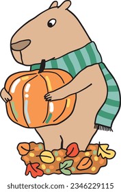 Cute cartoon capybara vector illustration. Autumn capybaras with pumpkin. Autumnal harvest season and funny pet animal.