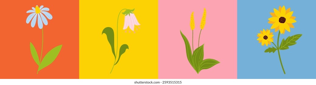 Cute cartoon cards with flowers, sunflower, tulip, daisy and plantain. Childrens elements set, greeting card, invitations. Vector flat illustrations
