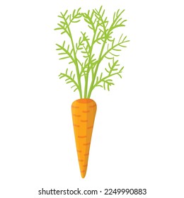 Cute cartoon carrot in flat style isolated on white background.