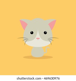 Cute Cartoon cat