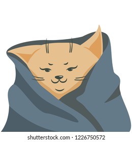 Cute cartoon cat in a blanket. EPS 10 vector illustration. Isolated on white.