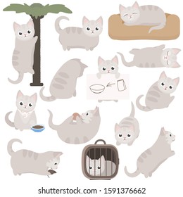 Cute cartoon cat character in different poses. Vector illustrations set isolated on white background.