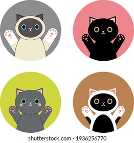 Avión de la cara del gato de dibujos animados