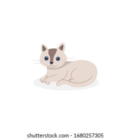 cute cartoon cat, funny, vector style, isolated flat design.
