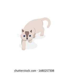 cute cartoon cat, funny, vector style, isolated flat design.