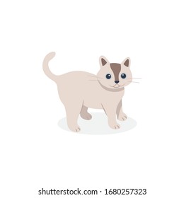 cute cartoon cat, funny, vector style, isolated flat design.