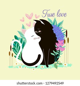 Cute cartoon cat, kitty couple in love, decorated with flowers, heart, with text "True love" on yellow pastel background.Valentine's day concept.