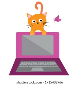 Cute cartoon cat and laptop vector illustration. Surprised ginger pet kitty is distracted by butterfly and interrupts business office work flow. Isolated fun symbol for working from home concept