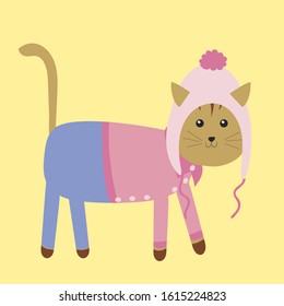 Cute cartoon cat on a colored background. A cat dressed in a jacket and jeans walks along the street. Flat vector illustration.