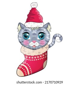 Cute cartoon cat in a Santa hat in a Christmas stocking. Winter 2023, Christmas and Chinese New Year