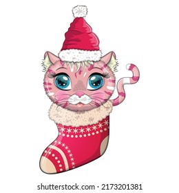 Cute cartoon cat in a Santa hat in a Christmas stocking. Winter 2023, Christmas and Chinese New Year