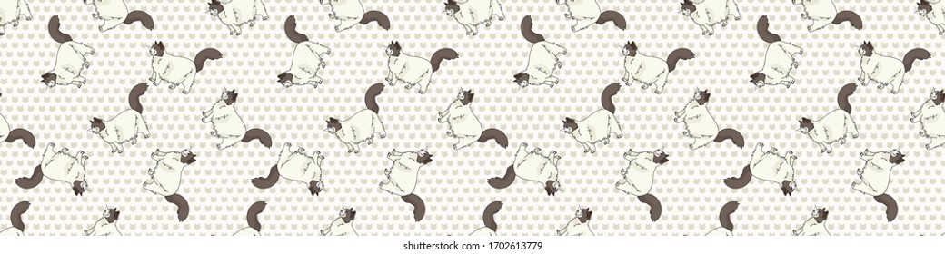 El gato de caricatura es un patrón sin fisuras en la frontera. Antecedentes de la raza de gatitos pedigrree. Amante del gato, washi ribbon. Guarnecido EPS 10 felino. 