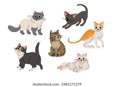 Cute cartoon cat set. Adorable domestic cats sitting, standing. Fluffy birman, black oriental, orange tabby cornish rex, black and white and grey. Lovely kitten flat vector collection.