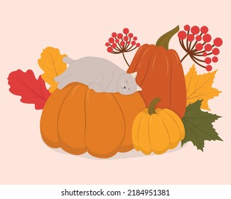 Cute Cartoon Cat Sleeping On A Pumpkin. Fun Fall Harvest Theme. Vector Illustration