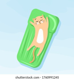 Un gato de dibujos animados lindo nada en la piscina sobre un colchón inflable para nadar. Ilustración vectorial aislada en un fondo azul.