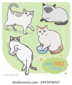 Nette Cartoon Katze Vektorillustration Set. Vereinzelte Elemente mit verschiedenen Rassen, Fellmustern und lustigen Posen.