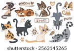Cute cartoon cats set. Hand drawn doodle cats in different poses and colors. Cats, mice and cute elements stickers collection. White background.