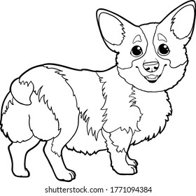 Cute cartoon character Corgi dog. Vector corgi puppy on a white background isolated. Page for coloring book. Coloring book for children's creativity.