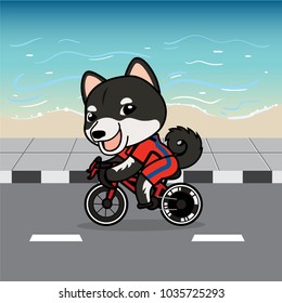 Cute cartoon character design black Shiba dog action ridding a bicycle on street , beach background