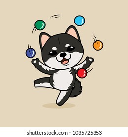 Cute cartoon character design Black Shiba Inu dog ,playing with balls like a juggler