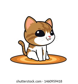 Cute cartoon character design Scottish Fold kitten,vector illustration