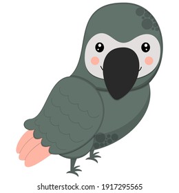 Cute cartoon character gray parrot on a white background. African bird for children's graphic design. Vector.