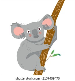 Cute cartoon character koala illustration. Vector print for kids design