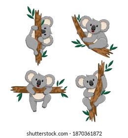 Cute cartoon character koala sit on wood branch. Cute animal in cartoon style. 