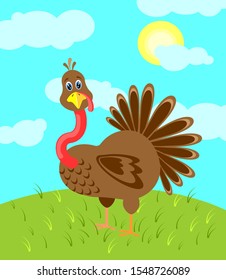 Cute cartoon character turkey. Brown turkey on the grass, vector illustration. Farm animal.