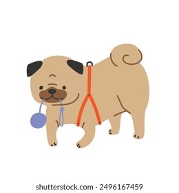 Cute cartoon cheerful pug dog plays with a dog toy. Vector illustration.