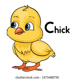 Cute cartoon chick animal vector illustration