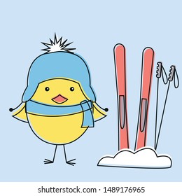 Cute cartoon chick with skis, winter time, vector illustration