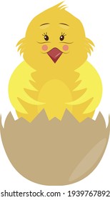 Cute cartoon chick. Vector illustration.Isolated on a white background. Easter illustration