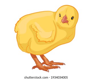 Cute cartoon chicken. Funny yellow chicken. Vector illustration.