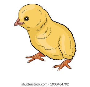 Cute cartoon chicken. Funny yellow chicken. Vector illustration.