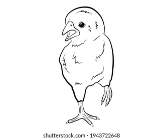 Cute cartoon chicken running. Funny yellow chicken. Vector illustration.