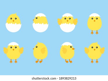 Cute cartoon chicken set. Funny yellow chickens in different poses, vector illustration.