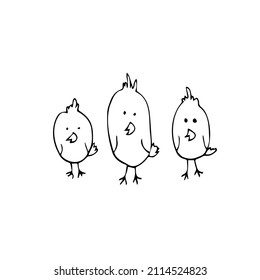 Cute cartoon chicken set. Three funny chickens in doodle style. vector illustration.