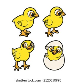 Cute cartoon chickens color variation for coloring book on white background