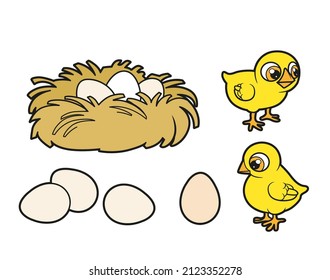 Cute cartoon chickens, nest and eggs color variation for coloring book on white background