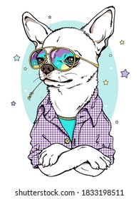 Cute cartoon chihuahua dog in a plaid shirt and bright sunglasses. Stylish image for printing on any surface