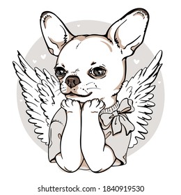 Cute cartoon chihuahua girl with angel wings. Stylish image for printing on any surface