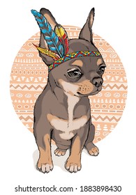 Cute cartoon chihuahua in indian headdress. Bright illustration in ethnic style. Stylish image for printing on any surface