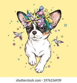 Cute cartoon chihuahua puppy in floral wreath . Summer illustration with dog and birds. Stylish image for printing on any surface