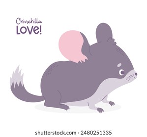 Linda chinchilla de dibujos animados. Carácter animal divertido del roedor. Ilustración vectorial en estilo plano 