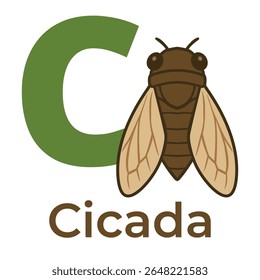 Cute cartoon cicada next to the letter C. Educational alphabet vector for kids, nature learning, and animal-themed materials. Isolated on white.
