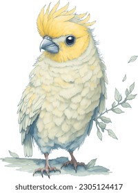 Cute cartoon cockatiel parrots illustration. Different color mutations, yellow and grey combinations. Isolated vector, adorable drawing style. 