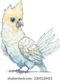 Cute cartoon cockatiel parrots illustration. Different color mutations, yellow and grey combinations. Isolated vector, adorable drawing style. 